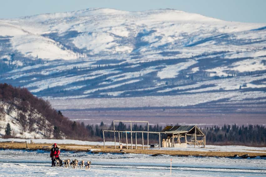 Aliy Zirkle mushing into Unalakleet. She was the first musher to reach the coast, an important milestone in the race. Mar 8, 2014