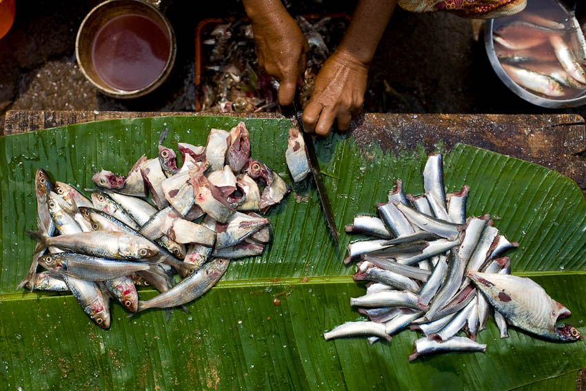 Fish vendor, Trivandrum, Kerala
